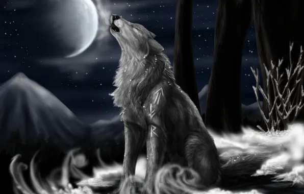 Night, the moon, stars, Wolf, North Howl