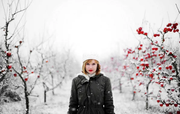 Picture girl, snow, nature, background, apples, Apple