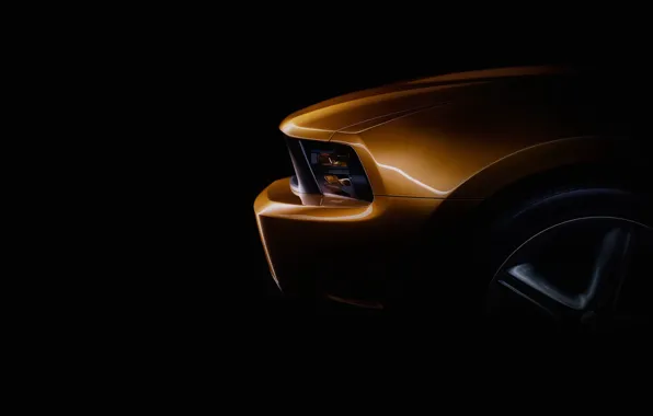 Mustang, Ford, the hood, bumper, grille