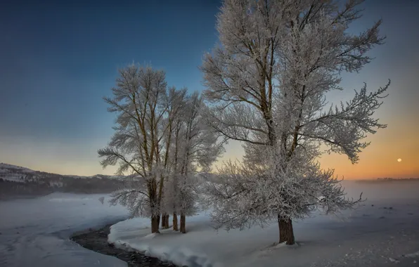 Picture winter, snow, trees, landscape, nature, river, dawn, morning