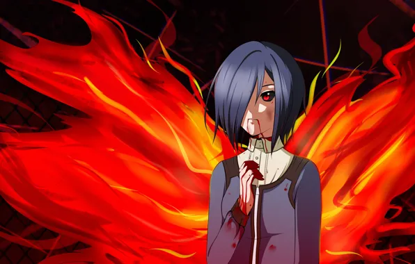 Fire wings  Tokyo ghoul wallpapers, Tokyo ghoul, Tokyo ghoul anime