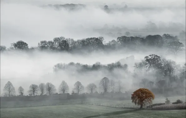 Autumn, fog, England, County, Wiltshire, Valley Of Pewsey