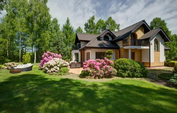 Picture greens, summer, grass, the sun, trees, flowers, house, lawn