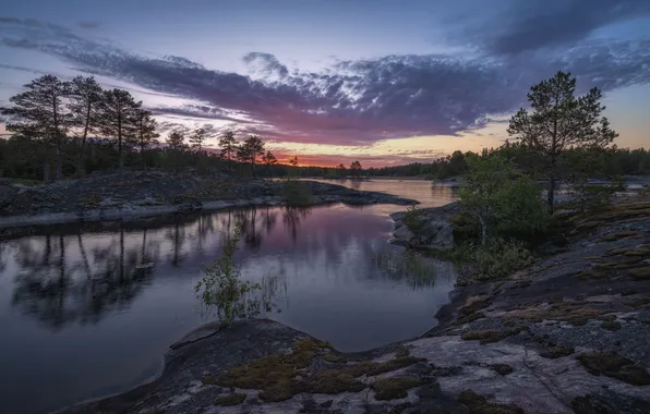 The sky, trees, river, the reflection in the water, beautiful landscape, Evdokimov Maxim, Evening nap...