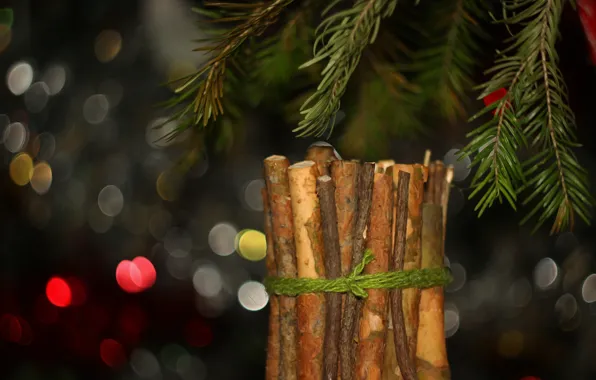 Picture branches, background, spruce, bokeh