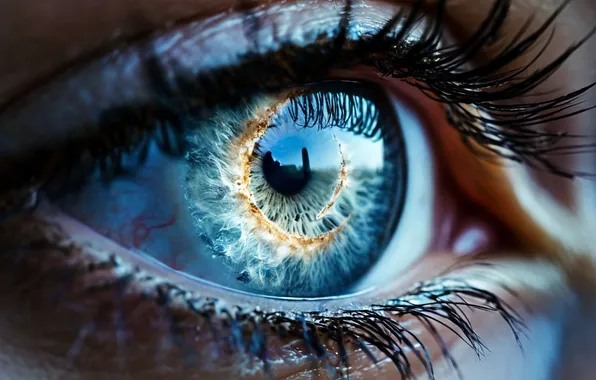 Macro, Eyes, Blue eyes