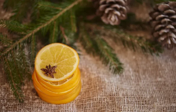 Branches, oranges, Christmas, New year, stack, needles, bumps, burlap