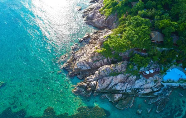 Green, pool, sea, coast, jungle, resort, cliffs, aerial view