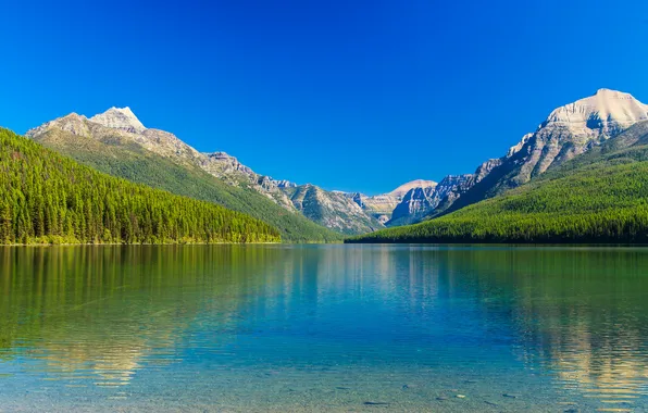 Forest, the sky, trees, mountains, lake, slope