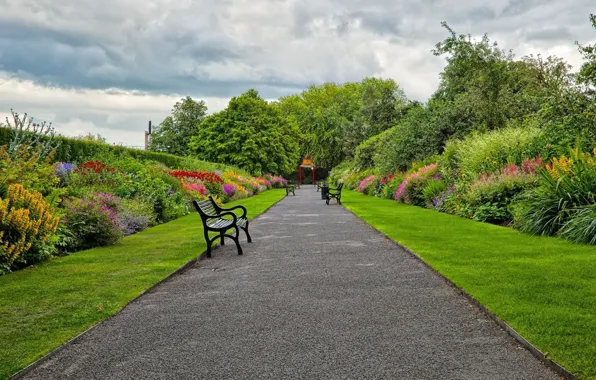 Trees, garden, bench