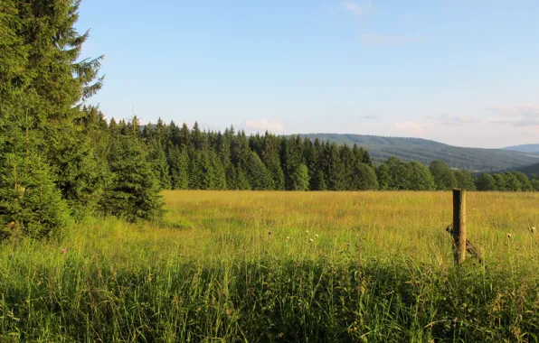 Picture field, forest, mountains, Czech Republic, Sumava, Sumava national Park