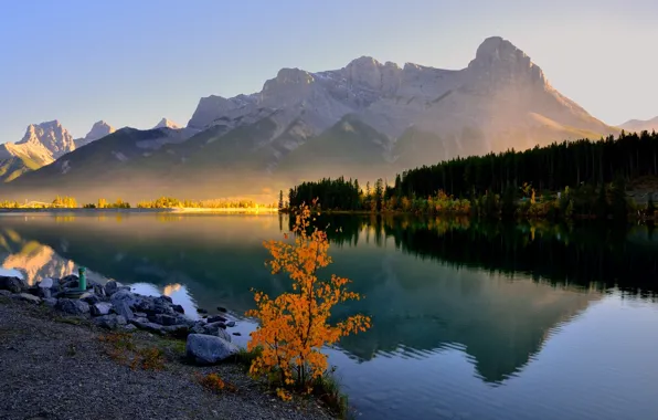 Picture forest, trees, mountains, lake, morning, haze, Canada, Banff