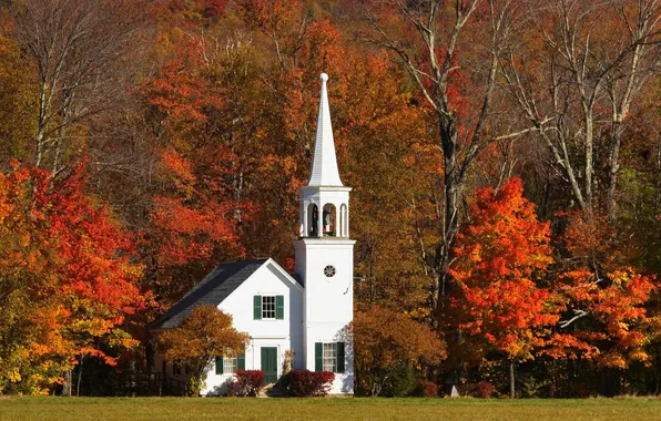 Picture autumn, leaves, trees, foliage, tower, Church, house, the crimson