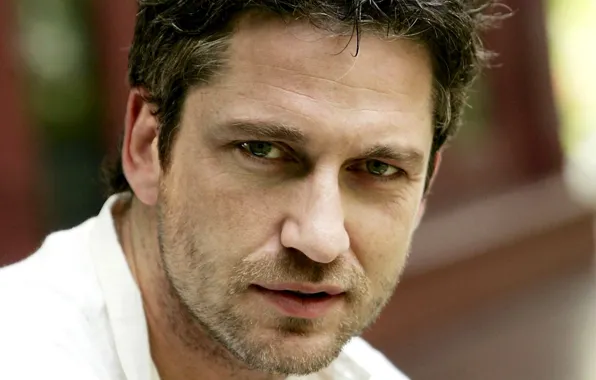 Picture eyes, look, face, male, actor, bristles, Gerard Butler