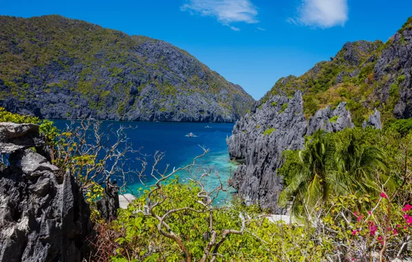 Sea, the sky, the sun, tropics, stones, rocks, Bay, the bushes