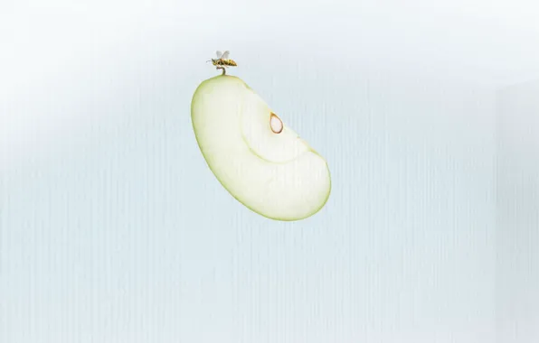 Picture bee, Apple, minimalism