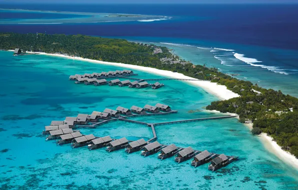 Beach, palm trees, the ocean, island, resort