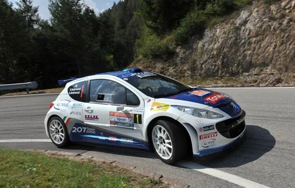 Picture Road, Wheel, Race, Peugeot, WRC, Rally, Rally, 207