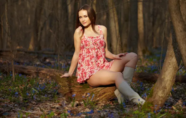 Forest, smile, Brown hair, view, sunlight, Zlatka