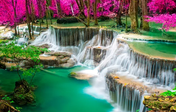 Forest, trees, tropics, stream, stones, waterfall, Thailand, the bushes