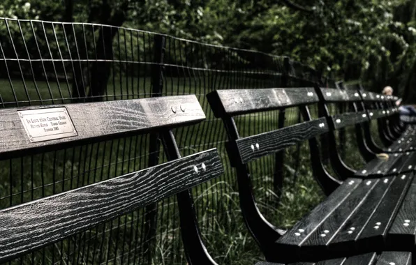 USA, grass, trees, New York, Manhattan, NYC, New York City, fence