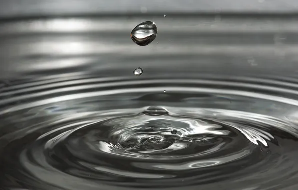 Picture water, drop, black and white