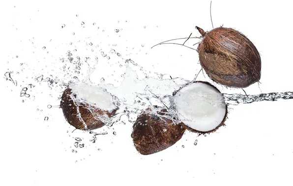 Water, squirt, coconut, white background