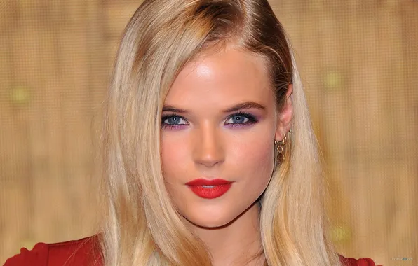 Picture look, face, model, actress, blonde, gabriella wilde