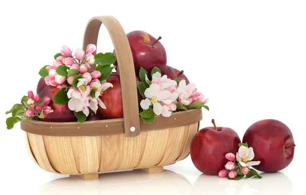 Picture apples, basket, Apple blossoms