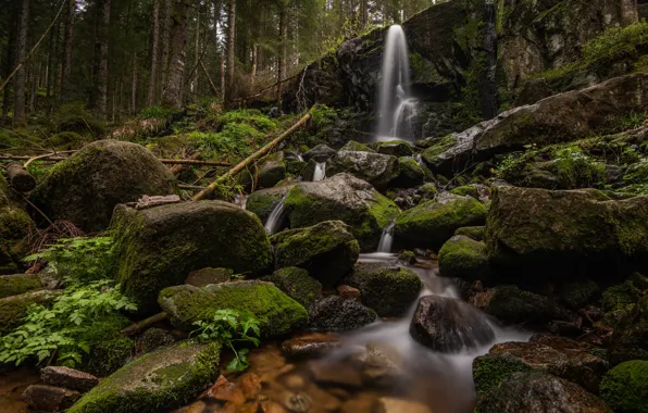 Forest, trees, stream, stones, France, waterfall, moss, Cascade of Merelle