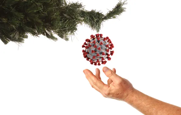 Tree, virus, holidays, pandemic