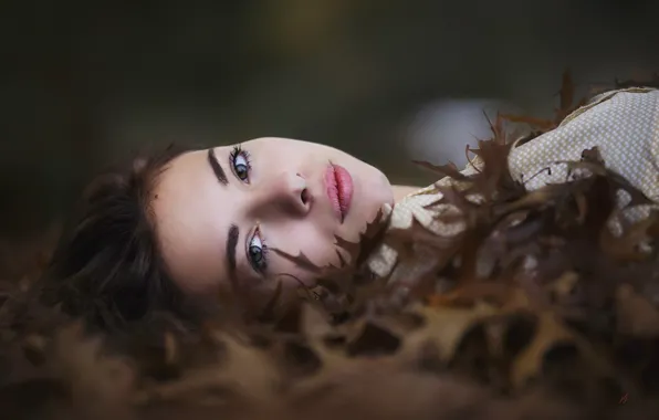 Look, model, portrait, makeup, brunette, hairstyle, lies, beauty