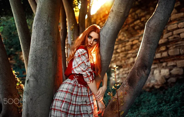 Picture look, light, tree, Girl, red, Kaan ALTINDA!