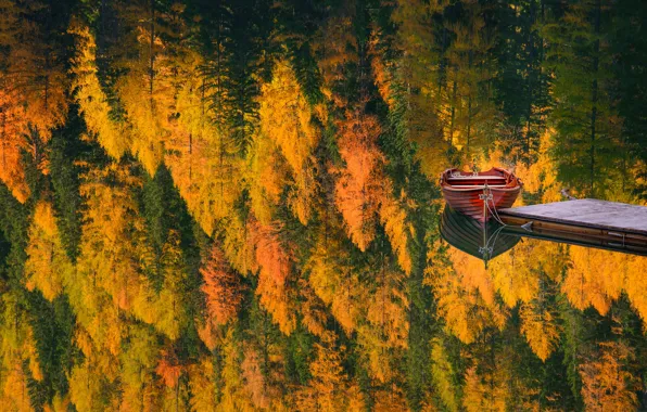 Autumn, forest, trees, nature, lake, reflection, boat, pier