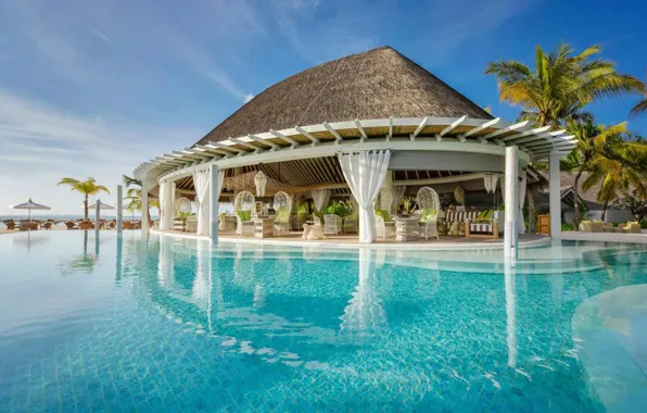 Palm trees, the ocean, pool, The Maldives, pool, Bungalow, Maldives, Kanuhura