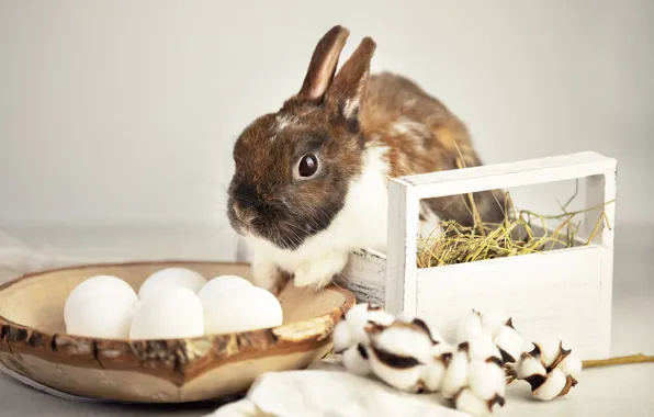 Table, holiday, eggs, spring, rabbit, Easter, straw, bowl