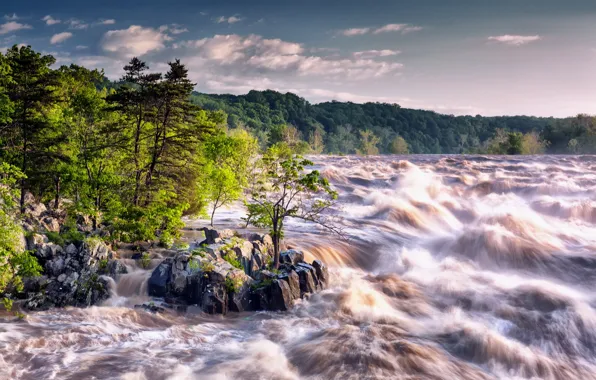 Landscape, river, stream