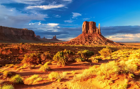 Sand, the sky, the sun, clouds, stones, rocks, desert, plain
