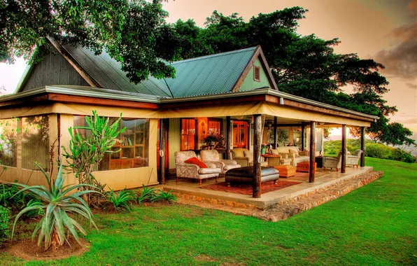 Grass, trees, nature, lawn, home