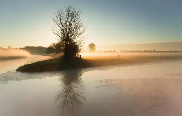 Picture field, landscape, fog, morning, channel