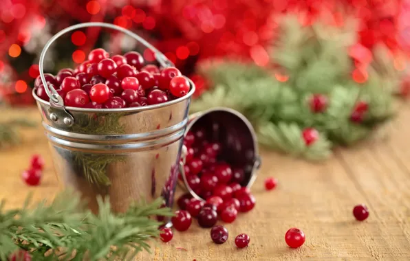 Picture branches, berries, Board, needles, cranberry, bucket