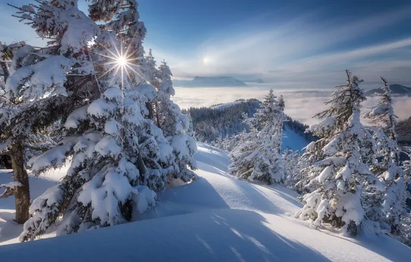 Winter, snow, trees, mountains, Austria, ate, Alps, the snow