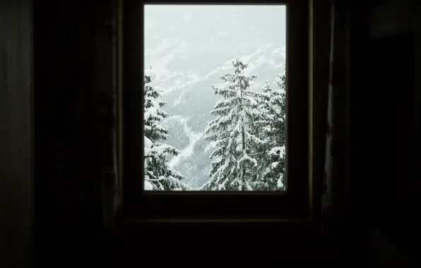 Picture winter, snow, trees, room, view, slope, window, trees