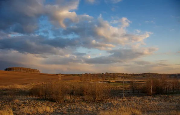 Field, sunset, spring