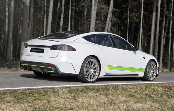 Rear view, Tesla, Mansory, Model S, 2016