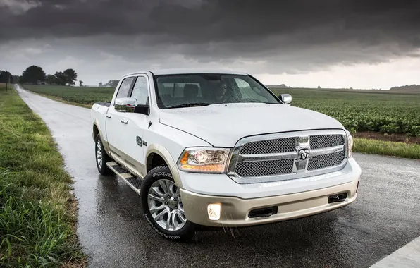 Dodge, white, storm, gold, rain, horns, water, grill