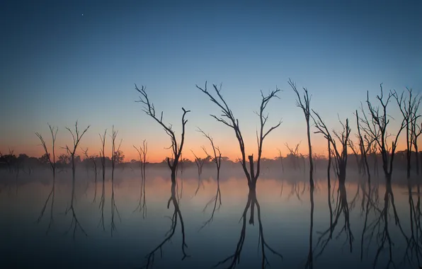 The sky, trees, sunset, lake, glow