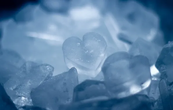 Picture ice, macro, hearts