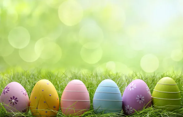 Grass, glade, eggs, Easter, flowers, spring, Easter, eggs
