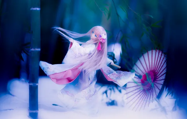 Umbrella, doll, kimono